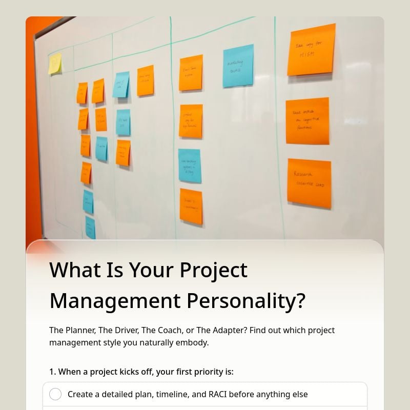 What Is Your Project Management Personality? template preview - FormHug