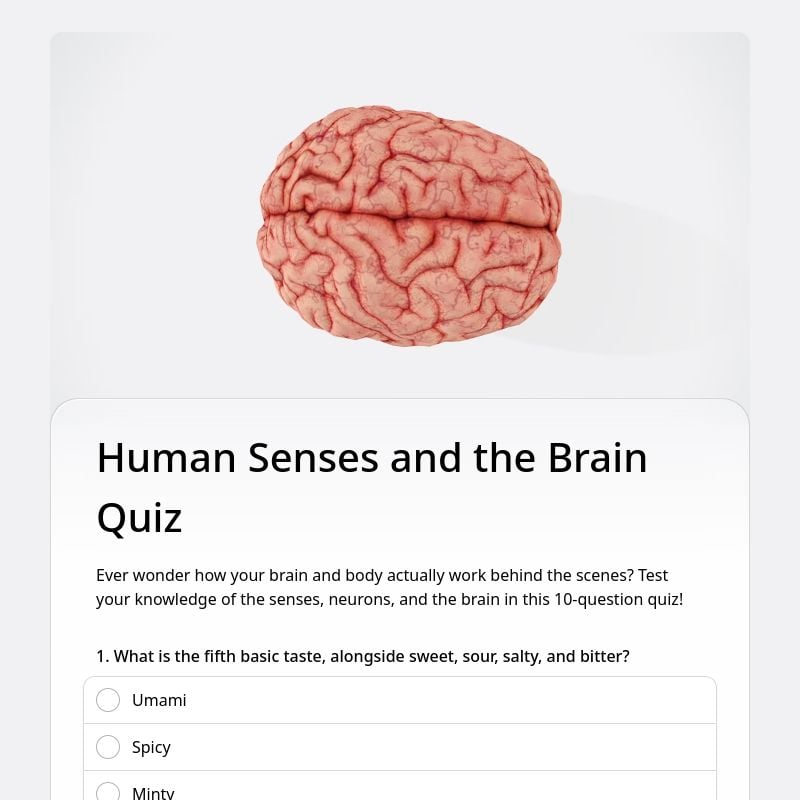 Human Senses and the Brain Quiz template preview - FormHug