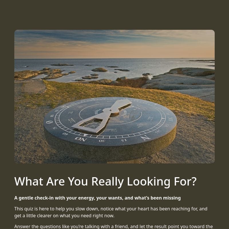 What Are You Really Looking For? template preview - FormHug
