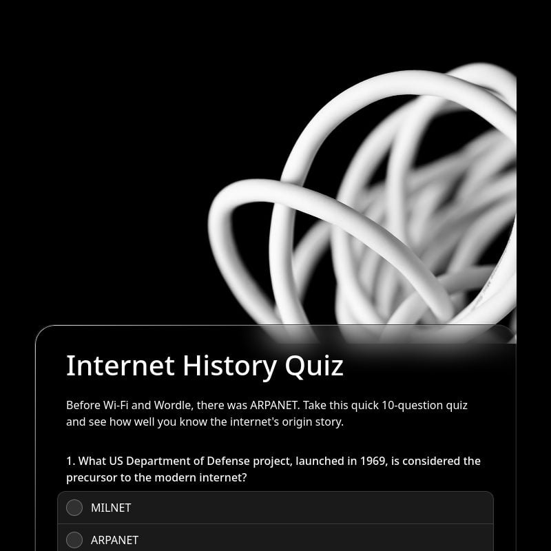 Internet History Quiz template preview - FormHug
