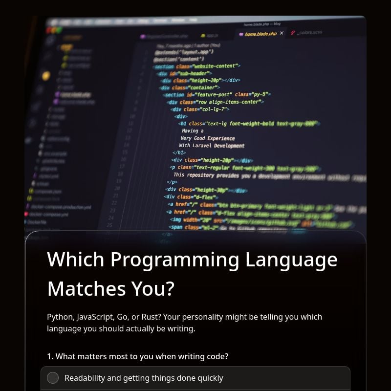 Which Programming Language Matches You? template preview - FormHug