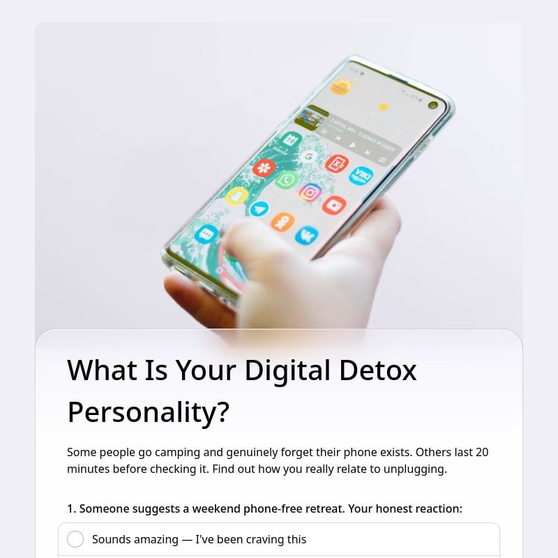 What Is Your Digital Detox Personality? template preview - FormHug