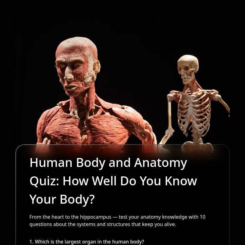 Human Body and Anatomy Quiz: How Well Do You Know Your Body? template preview - FormHug